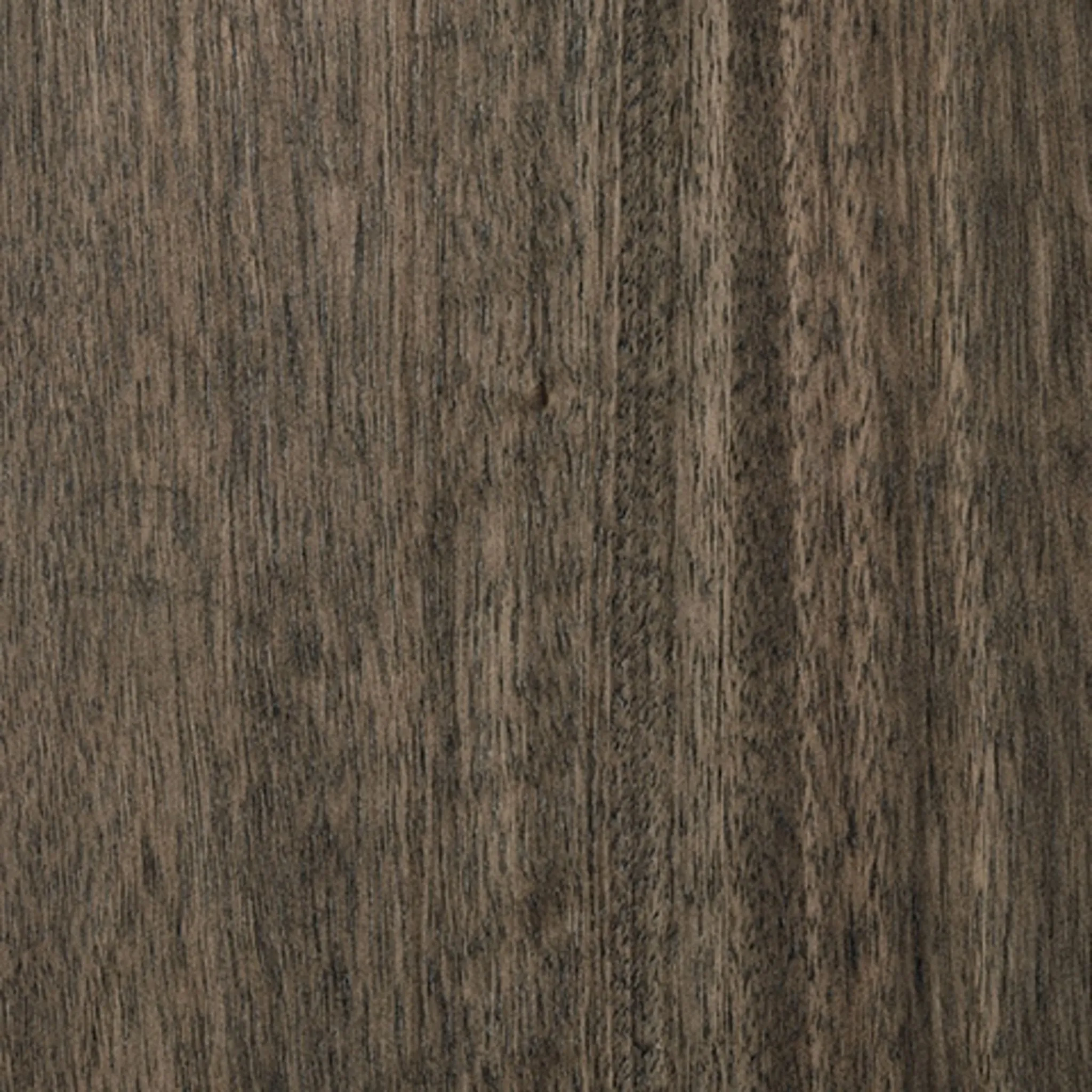 Arkenton-Exclusive Dining Server