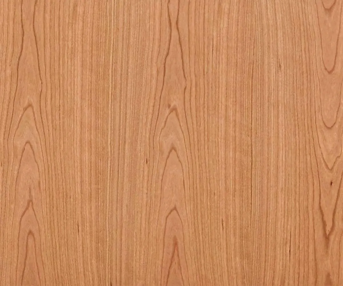 Baptisia 79" Media Stand