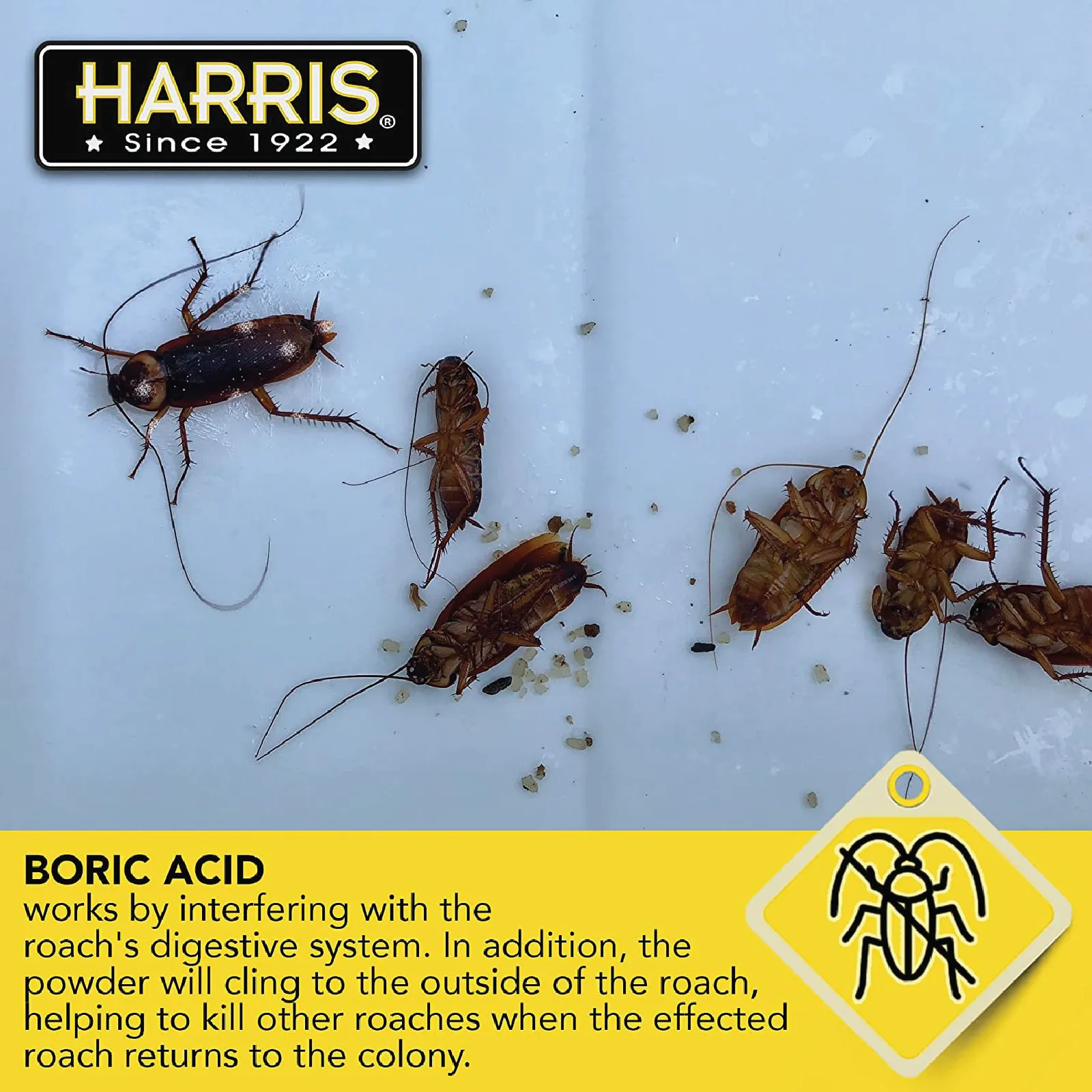 Harris Boric Acid Roach Powder with Lure